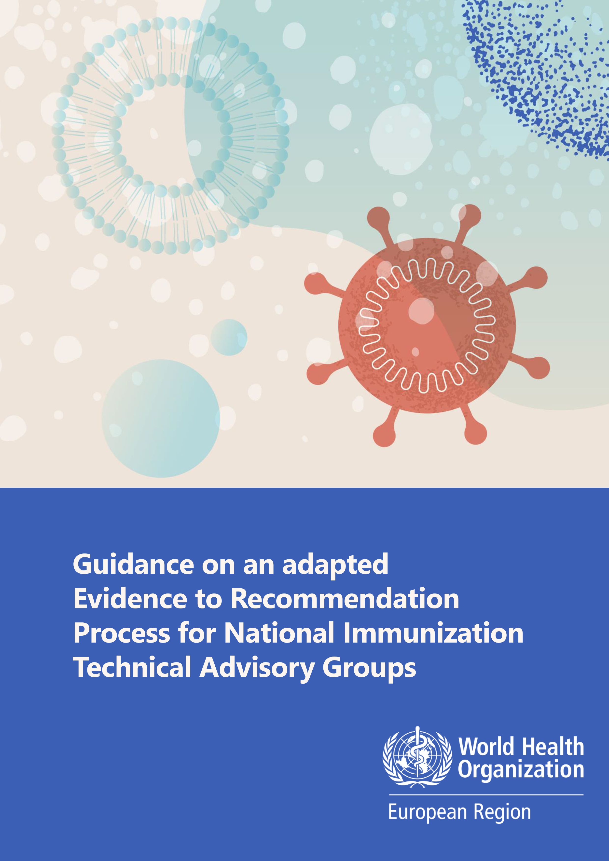 Guidance on an adapted evidence to recommendation process for National Immunization Technical Advisory Groups