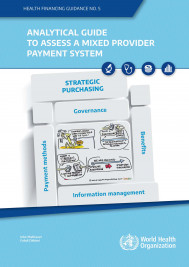 Analytical guide to assess a mixed provider payment system